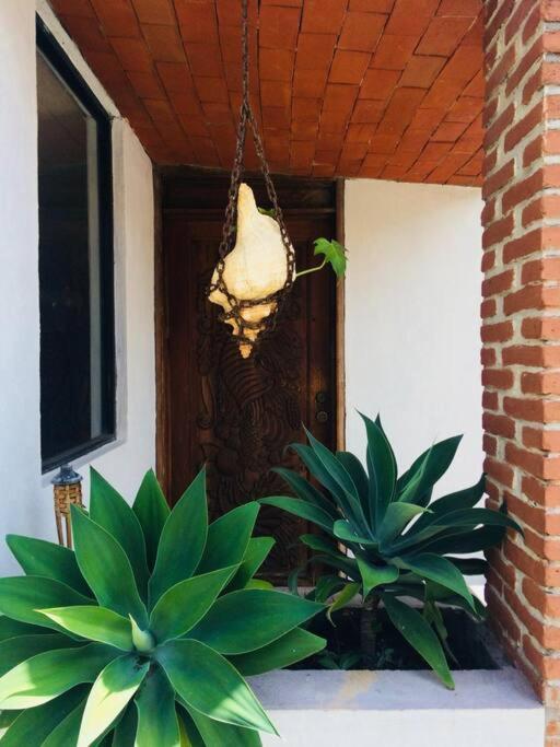 Finca Taino. Hermosa Casa Con Alberca 히우테펙 외부 사진
