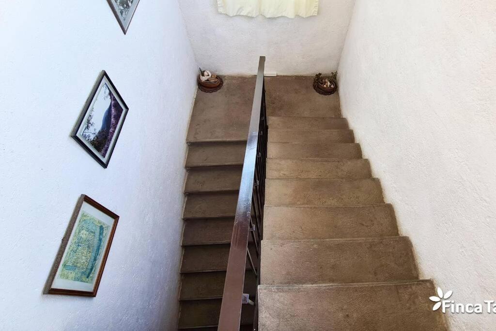 Finca Taino. Hermosa Casa Con Alberca 히우테펙 외부 사진